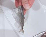あじ 皮引き 捌き方 初心者さん向き作り方8写真