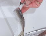 あじ 皮引き 捌き方 初心者さん向き作り方10写真