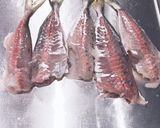 あじ 皮引き 捌き方 初心者さん向き作り方11写真