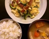 ゴーヤチャンプルーを作る実験作り方7写真