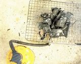 おうちで楽しむ♪オイルで炭火焼き風作り方1写真