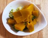 離乳食７ヶ月〜 サーモンと豆乳のシチュー作り方1写真