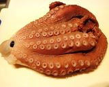 ヤナギダコのガーリック炒め作り方1写真