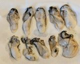 牡蠣と生ワカメ、マッシュルームのフラン作り方6写真