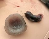 ♡母の味・北の郷土料理ゴッコ汁♡捌き方付作り方21写真