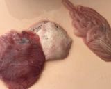 ♡母の味・北の郷土料理ゴッコ汁♡捌き方付作り方24写真