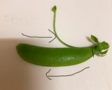 スナックエンドウ人参の胡麻和え作り方1写真