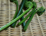 【野菜ソムリエ】こごみのごま和え作り方1写真
