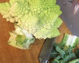 閲覧注意はじめてのロマネスコ作り方2写真