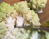 閲覧注意はじめてのロマネスコ作り方3写真