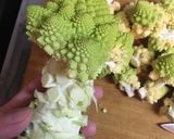 閲覧注意はじめてのロマネスコ作り方4写真