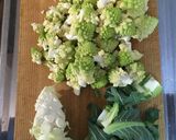 閲覧注意はじめてのロマネスコ作り方5写真