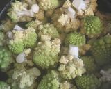 閲覧注意はじめてのロマネスコ作り方10写真