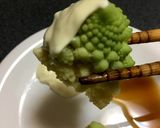閲覧注意はじめてのロマネスコ作り方14写真