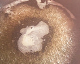 ぷちぷちっとふのりのあんかけ卵焼き作り方5写真