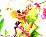 ３分完成シリーズ=玉子どこ？サラダ作り方5写真
