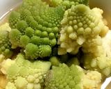 閲覧注意はじめてのロマネスコ作り方17写真
