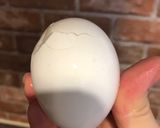 ゆで卵のきれいな剥き方作り方4写真