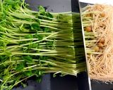 鶏もも肉とセロリのトマトスープ作り方3写真