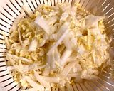 超簡単!大量消費!簡単漬け物、第2弾作り方1写真