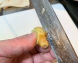くじらのお刺身(´∀`)作り方10写真