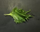 大葉風味のほうれん草のお浸し作り方5写真