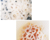 簡単＊切り干し大根とれんこんの胡麻和え作り方2写真