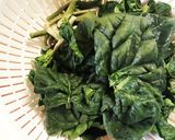 ほうれん草とじゃこの和風パスタ作り方1写真