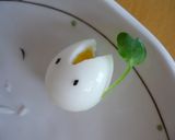 キャラ弁　となりのトトロ編作り方3写真