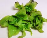 ふきのとう味噌を簡単ものぐさ風作り方1写真