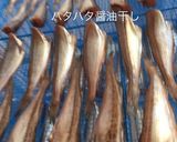 ハタハタの醤油干し(干物)作り方作り方6写真