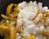 【私のための覚書】はっさくのピール作り方8写真