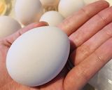 白だしで冷めてもふんわり☆卵焼き☆作り方1写真