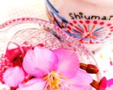 いきなりロイヤルミルクティー作り方10写真