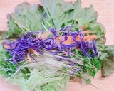 生ハムで！いつもの野菜がお洒落なサラダに作り方3写真