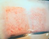 49℃ 極上！炙りサーモン白ワインソース作り方12写真