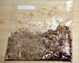 きゅうりのピーカン梅肉あえ作り方1写真