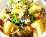 簡単★焼くだけ！厚揚げの揚げ出し豆腐風作り方15写真