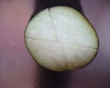 大好評♡香味醤油ダレで蒸し茄子作り方1写真