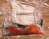 スモークサーモンの生春巻き作り方6写真