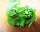 ふきのとうと菜の花、鯛の和え物作り方2写真