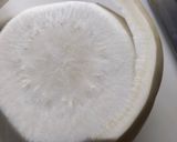 かぶらの甘酢漬け ゆず風味作り方4写真