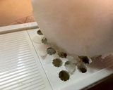 鬼おろしチキンステーキ作り方9写真