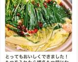 鶏鍋 スープ美味しいキャンプ飯 キャベツ作り方14写真