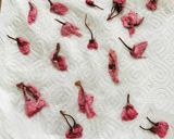 ☆ひな祭り 桜まんじゅう☆作り方6写真