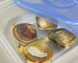 タッパーで時短簡単☆はまぐりの砂抜き作り方11写真