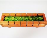 煮蛤、菜の花、桜のお寿司＊お花見ひな祭り作り方6写真