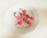 煮蛤、菜の花、桜のお寿司＊お花見ひな祭り作り方3写真