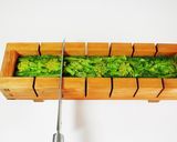 煮蛤、菜の花、桜のお寿司＊お花見ひな祭り作り方7写真