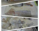 Pescatora ペスカトーレ作り方1写真